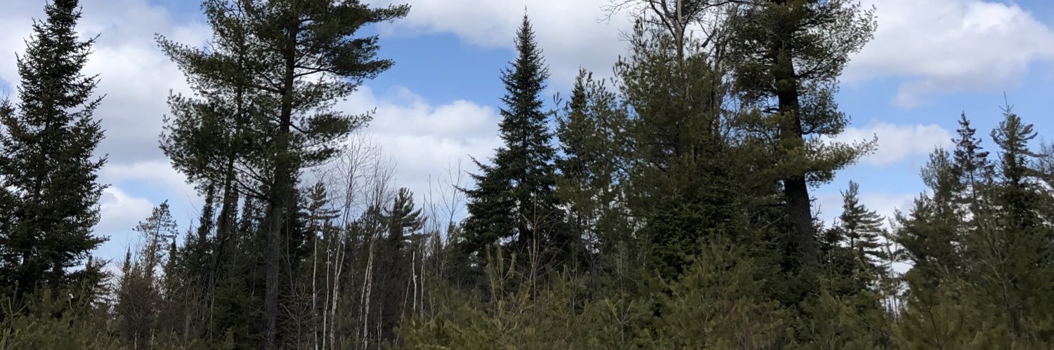 Chelsea_Bangs's profile banner image