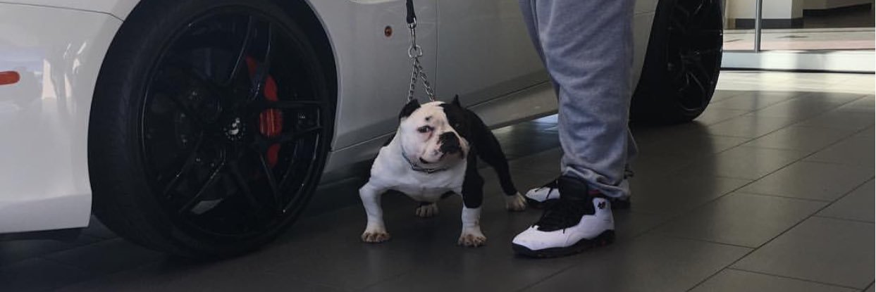 jbbullies's profile banner image