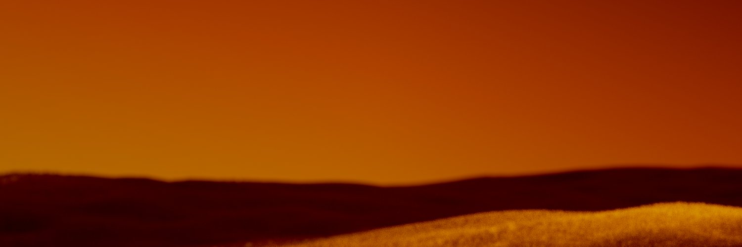 max banner