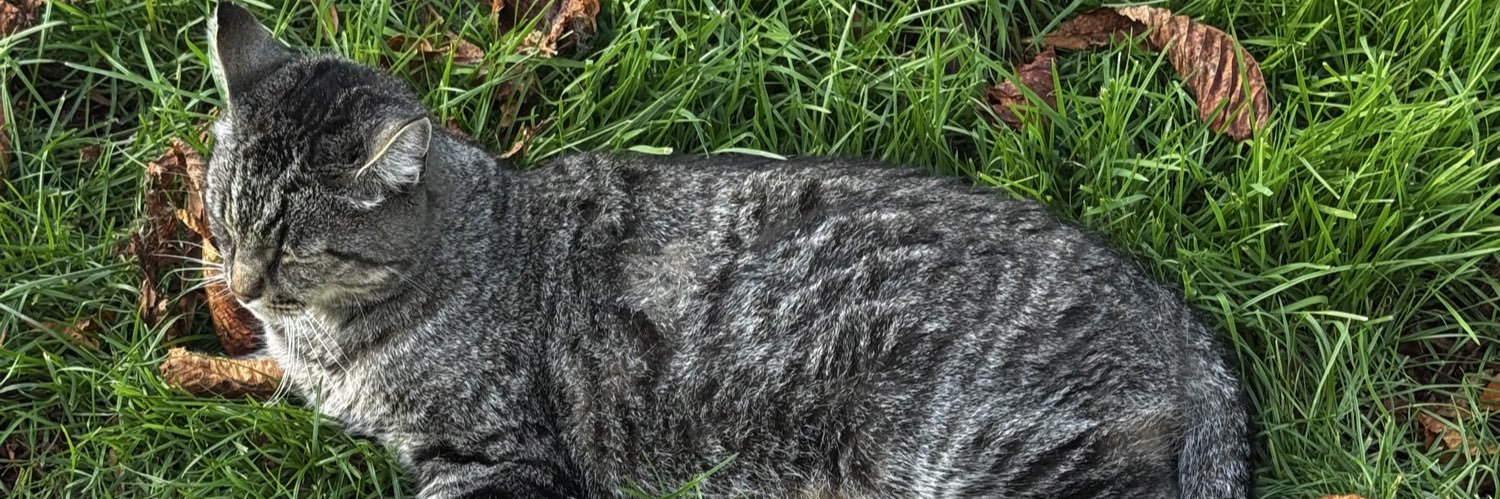 ursecondfavanon banner