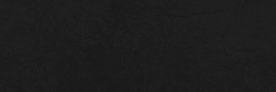 The Ghost banner