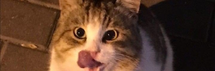 ilaydaskclkk's profile banner image