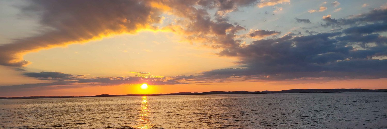 jajaTorre 🇸🇪 banner