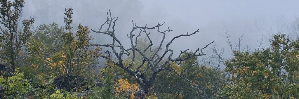 JustinWBased's profile banner image