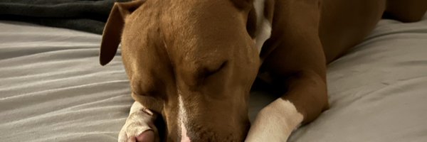 Sodtz1 Profile Banner