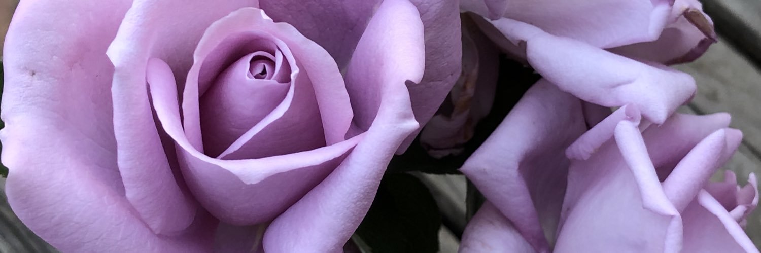 arisubee's profile banner image