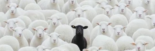 1PMaker Profile Banner