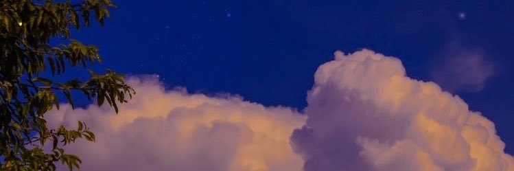 026 banner