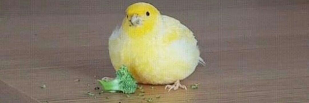 RammusAnonymous banner