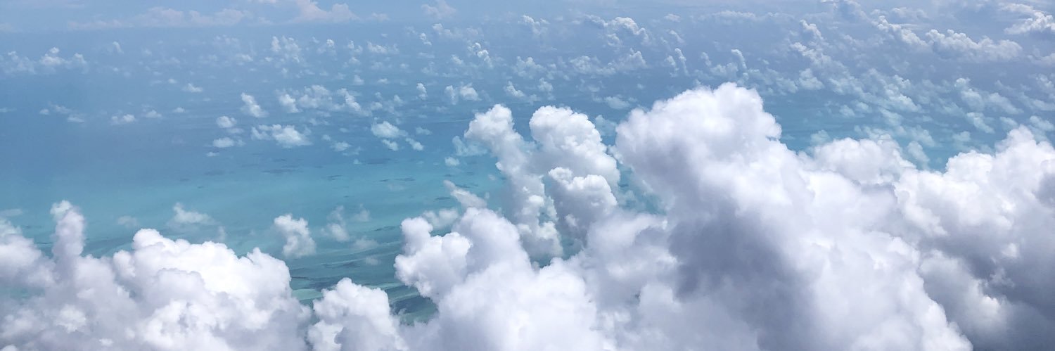 RebeccaElrod's profile banner image