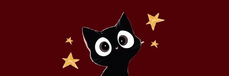 anaconilusiones's profile banner image
