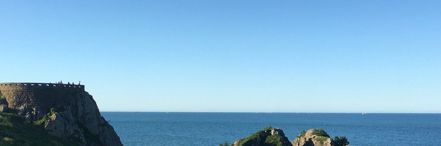 Sinji banner