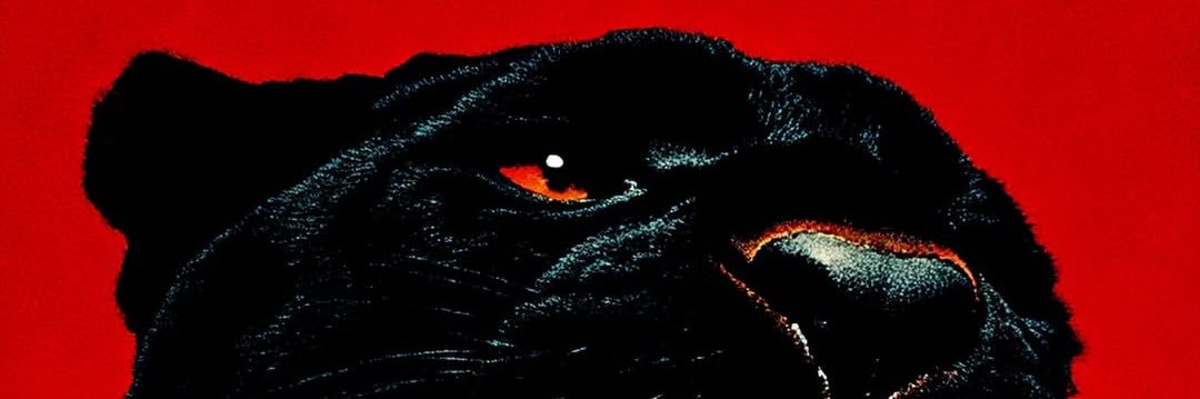 DaOfficialDame's profile banner image