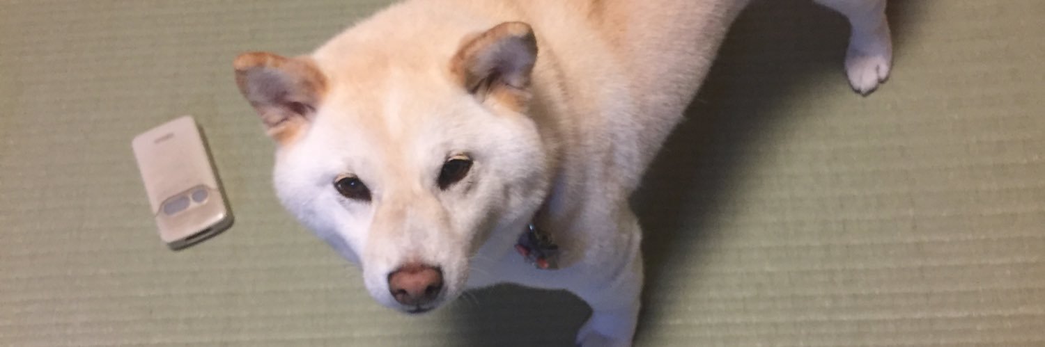 daigumdam's profile banner image
