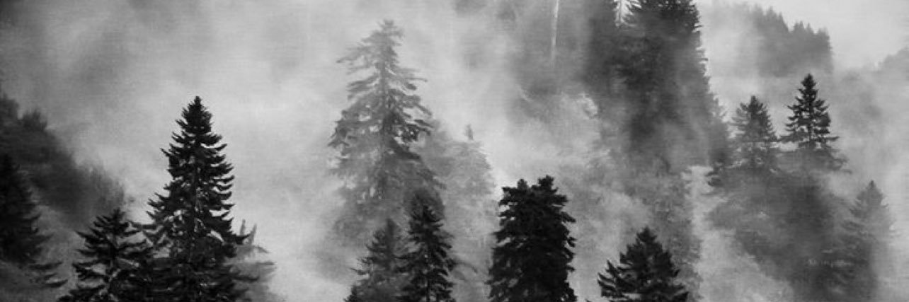 alliwernerr's profile banner image