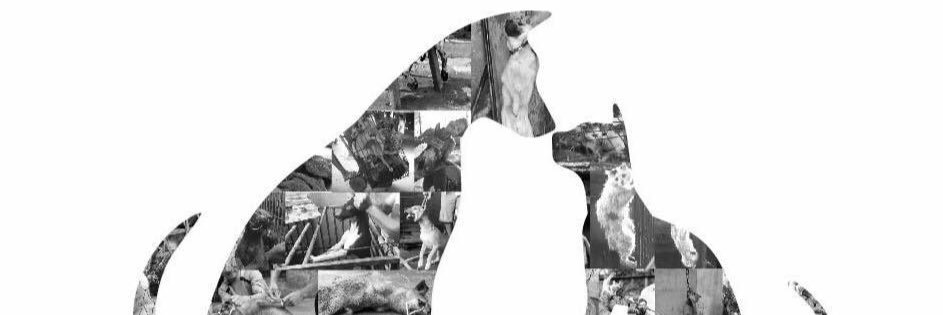 MadsKenneth's profile banner image