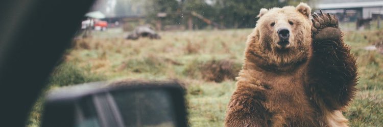 Hannah Hyde banner