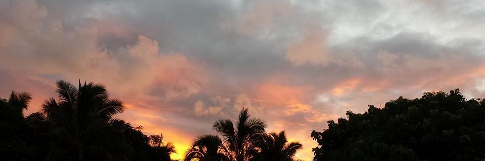 LisaTranscend's profile banner image