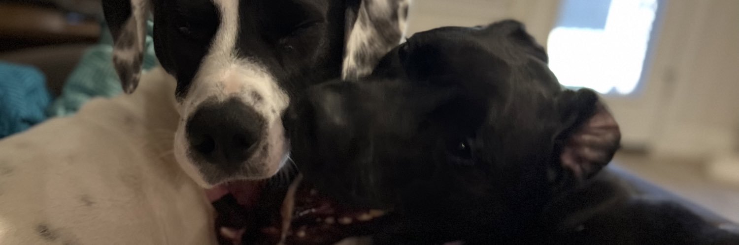 saraarenee_'s profile banner image