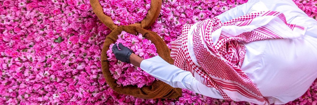 Haya Al-Noaimi banner
