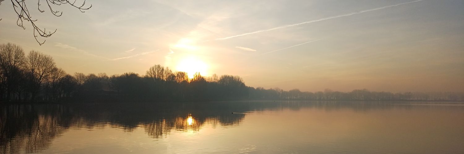 Lin 🇵🇸 🇺🇦 banner