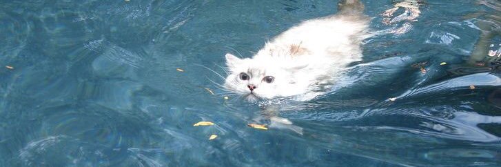 winnie⁷ is seeing bts ☁️ banner