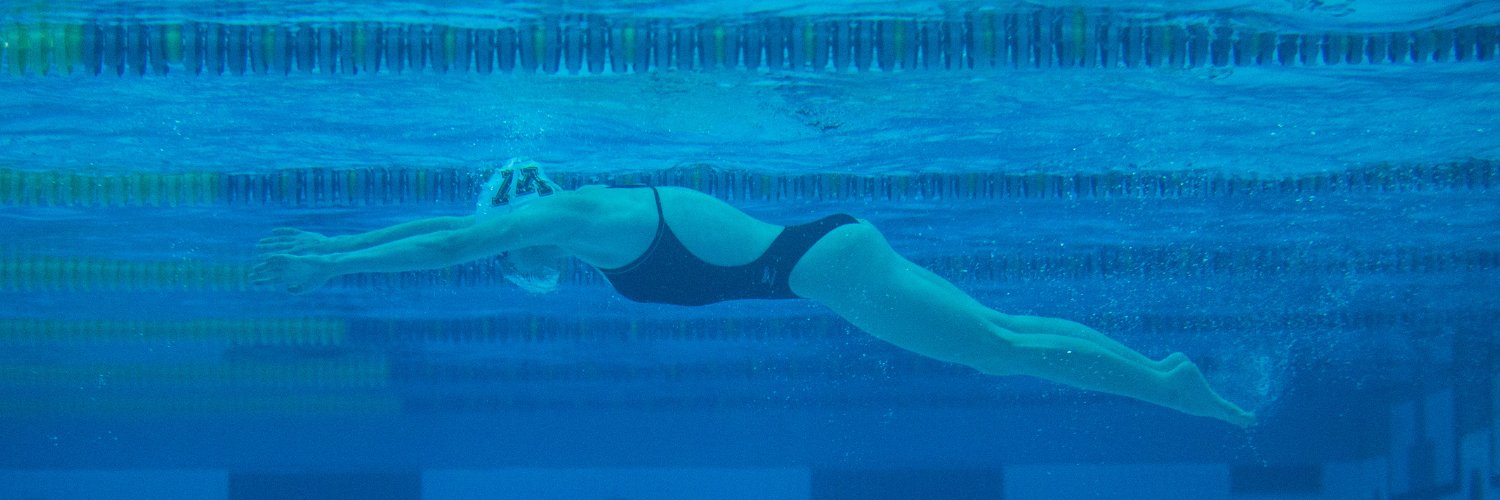 Minnesota Swimming & Diving banner