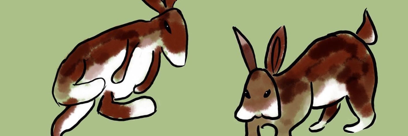 _ejfried's profile banner image