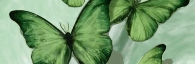 tteamveranoo's profile banner image