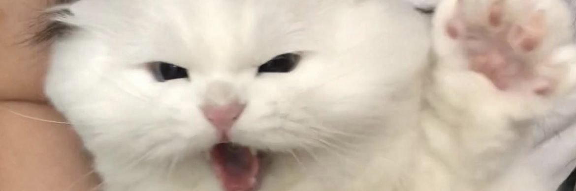 Mm_pyn's profile banner image