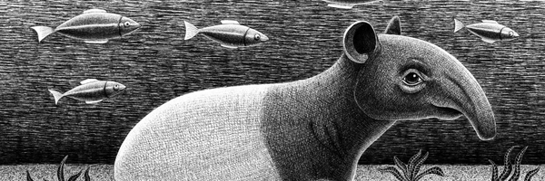 DrawingEggen Profile Banner