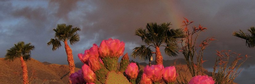 e_moniccaa's profile banner image
