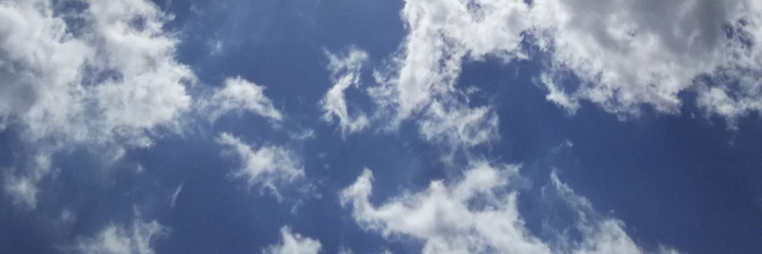 miyanpanda's profile banner image