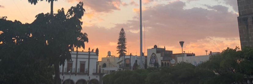 alexa_cx's profile banner image