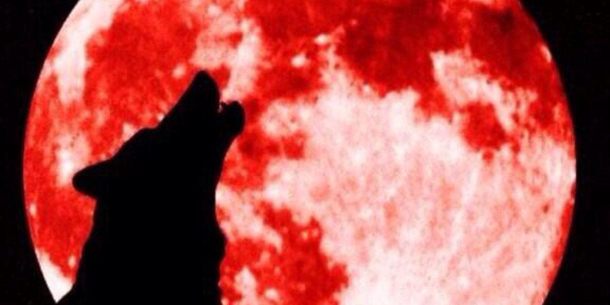 DrRosebeard's profile banner image
