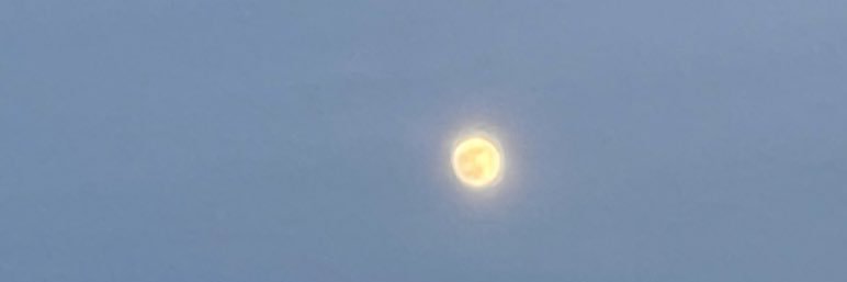 ooo_11o's profile banner image