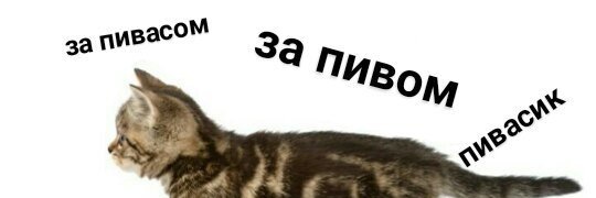 bitl_s's profile banner image