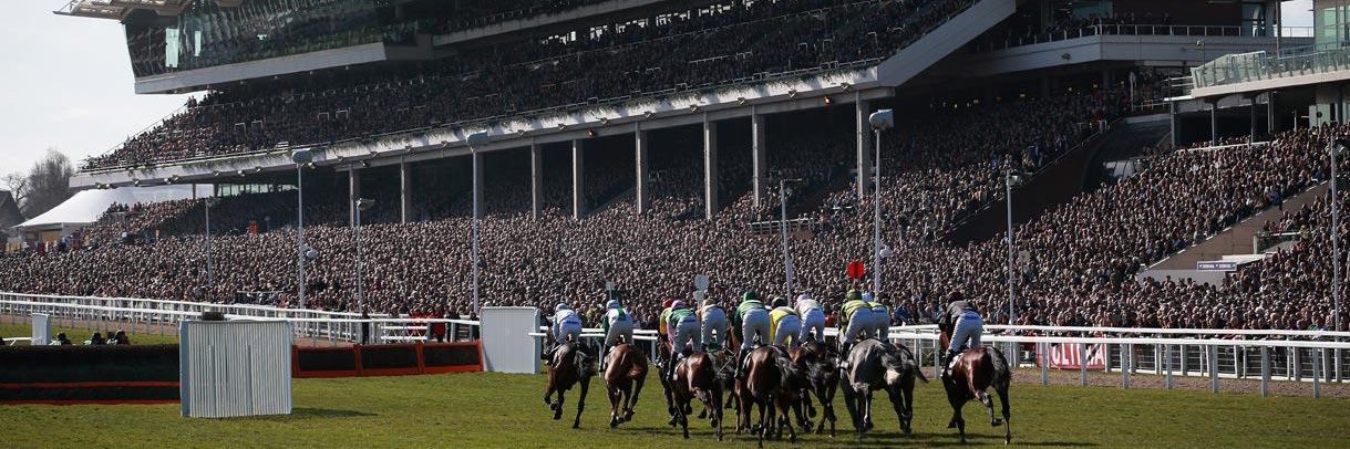 George Cullingworth🐎 banner
