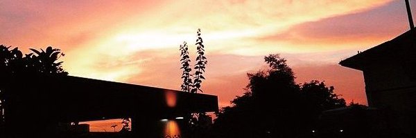 Foufette Profile Banner