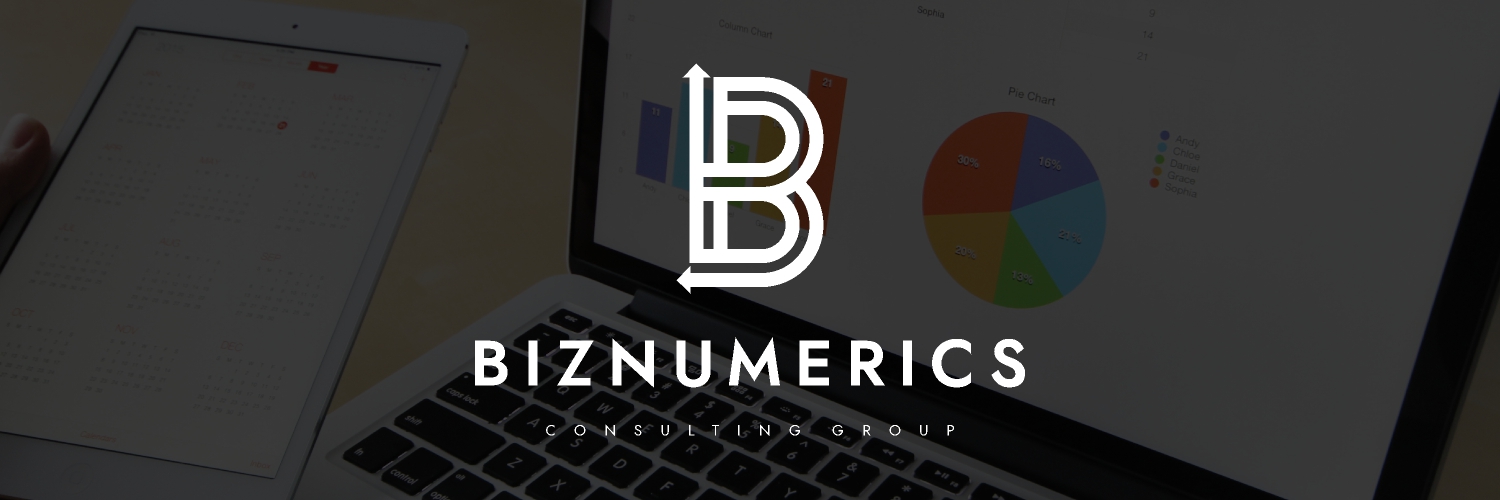 BizNumerics's profile banner image