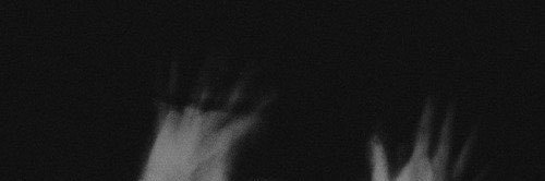 新。 banner