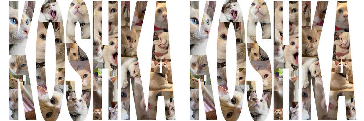 💜💚Gatito Koshka Morrison Diesel's banner