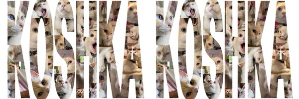 KoshkaMorrison Profile Banner