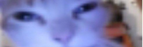 Vituuh banner
