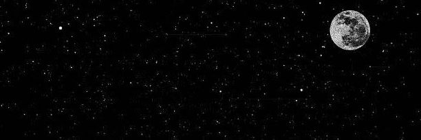 gingkoraven's profile banner image