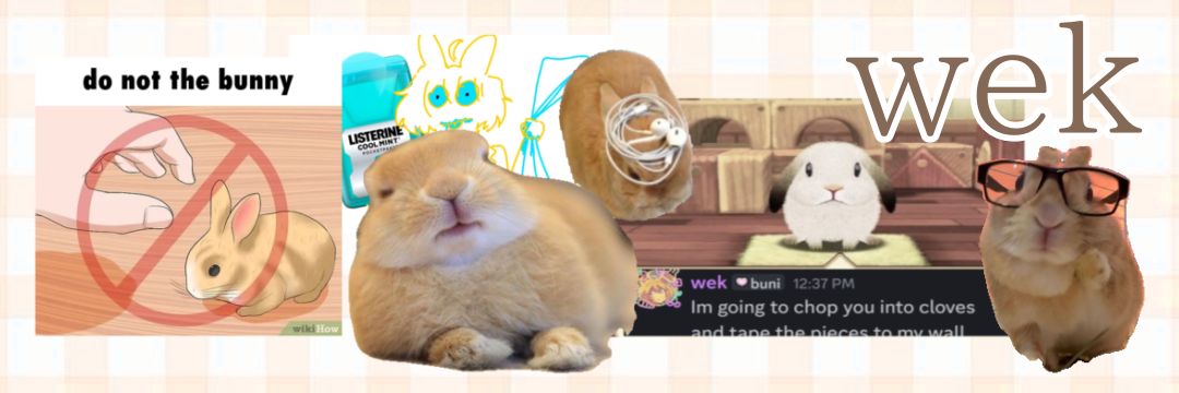 wek 🍮🐇 bunnygirl vtuber's banner