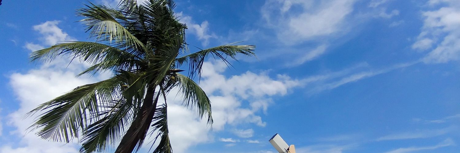 trimulyani31's profile banner image