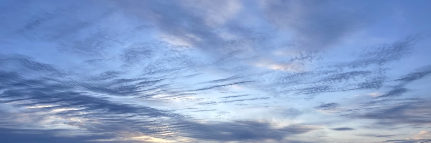 mea🪷 banner