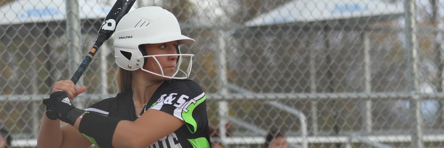 Holly Lowenberg banner