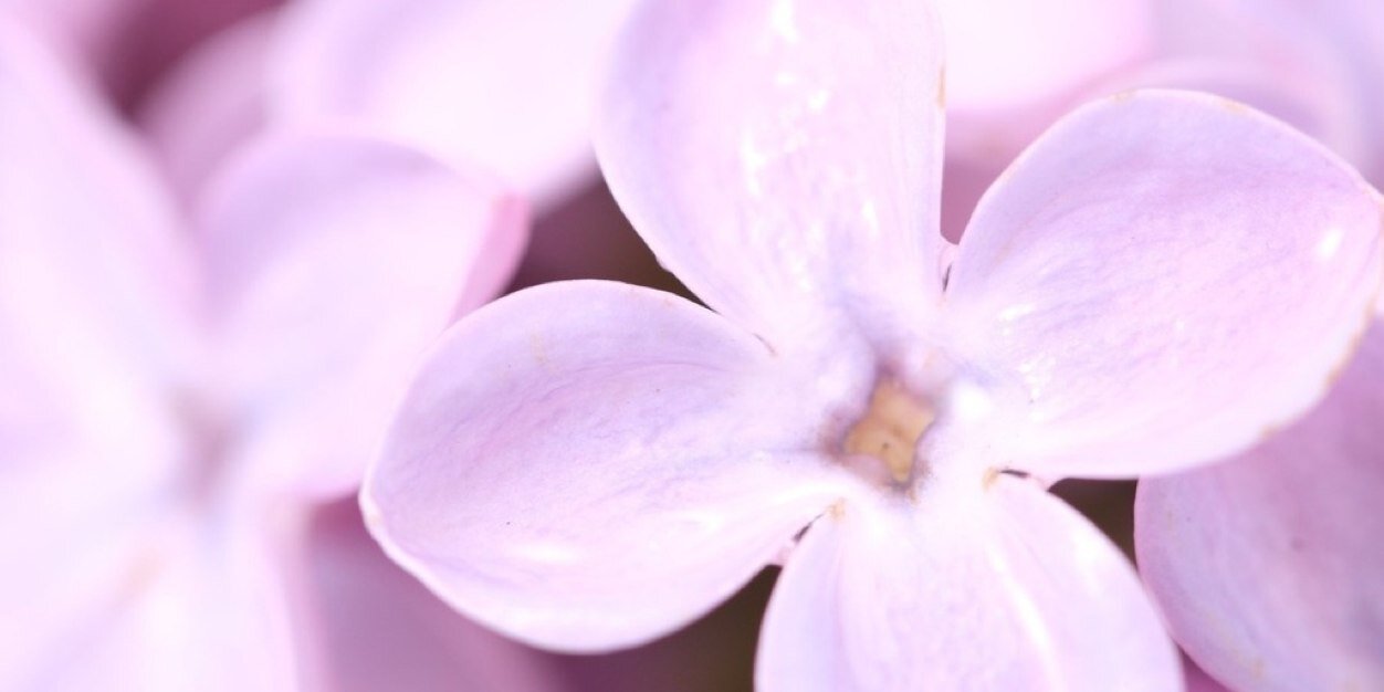 fcuk_kimm's profile banner image